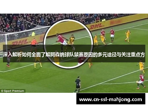 深入解析如何全面了解阿森纳球队禁赛原因的多元途径与关注重点方