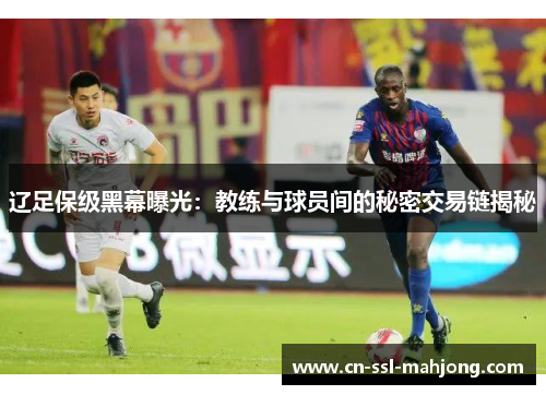 辽足保级黑幕曝光：教练与球员间的秘密交易链揭秘