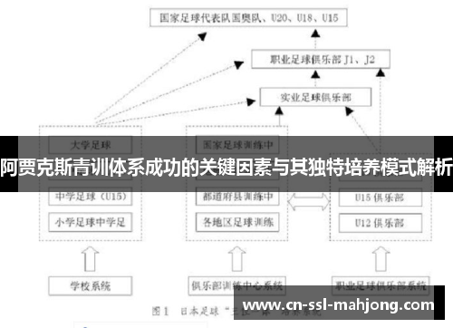 阿贾克斯青训体系成功的关键因素与其独特培养模式解析