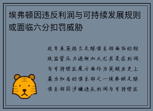 埃弗顿因违反利润与可持续发展规则或面临六分扣罚威胁