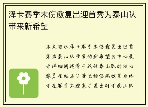 泽卡赛季末伤愈复出迎首秀为泰山队带来新希望